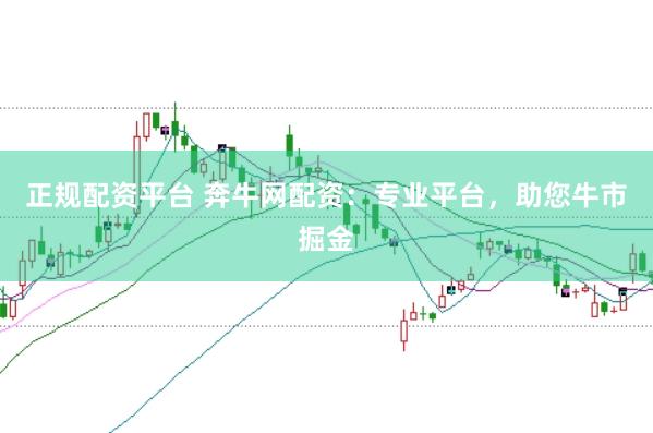 正规配资平台 奔牛网配资：专业平台，助您牛市掘金
