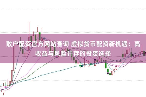 散户配资官方网站查询 虚拟货币配资新机遇：高收益与风险并存的投资选择