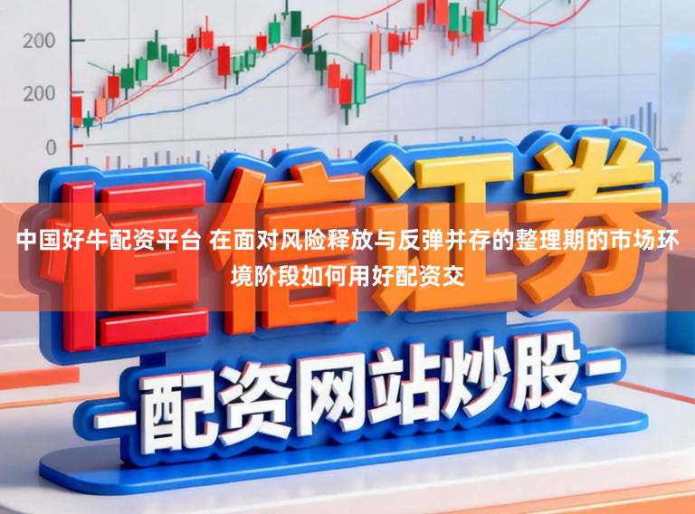 中国好牛配资平台 在面对风险释放与反弹并存的整理期的市场环境阶段如何用好配资交