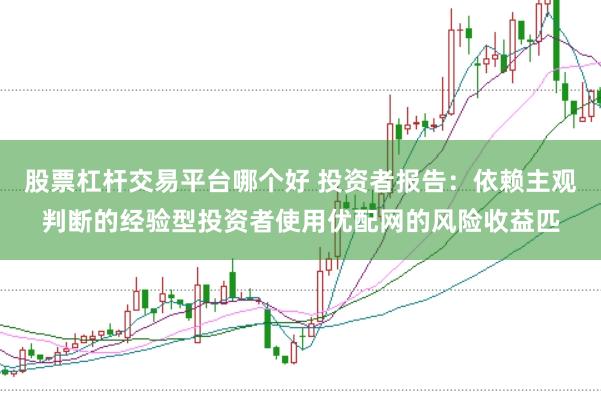 股票杠杆交易平台哪个好 投资者报告：依赖主观判断的经验型投资者使用优配网的风险收益匹